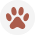 paw icon