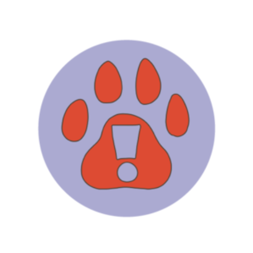 Home - Metro Dog Home - Metro Dog