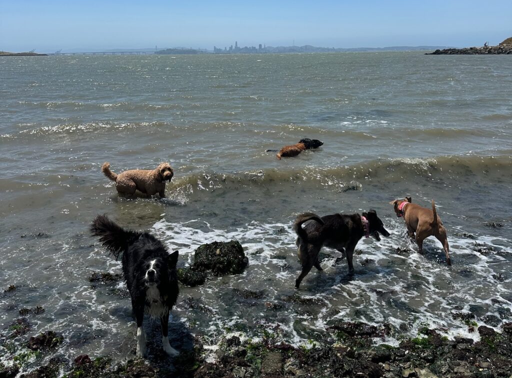 park trip adventures