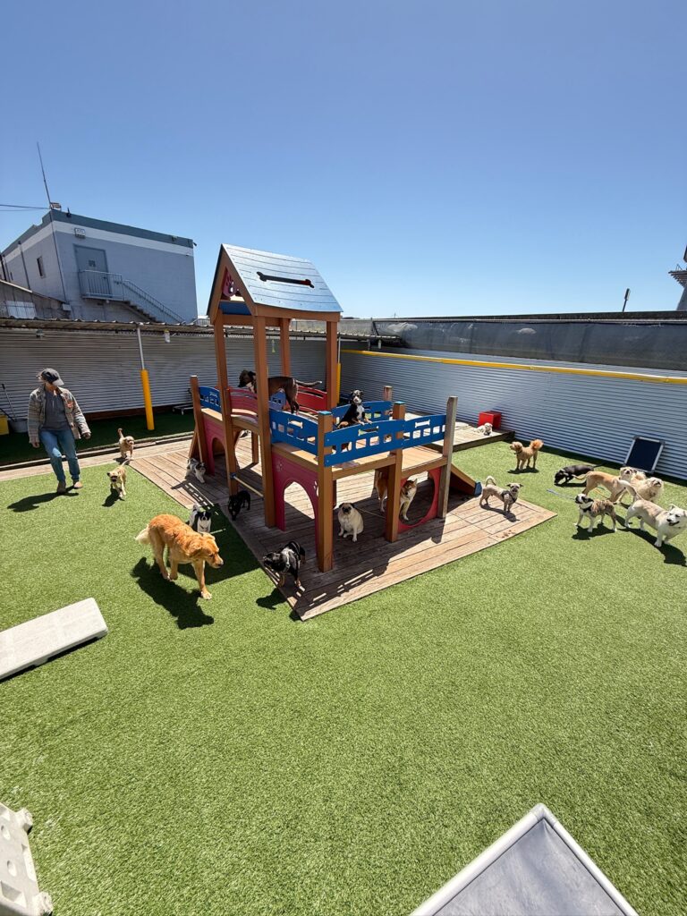 Rates & Services - Metro Dog