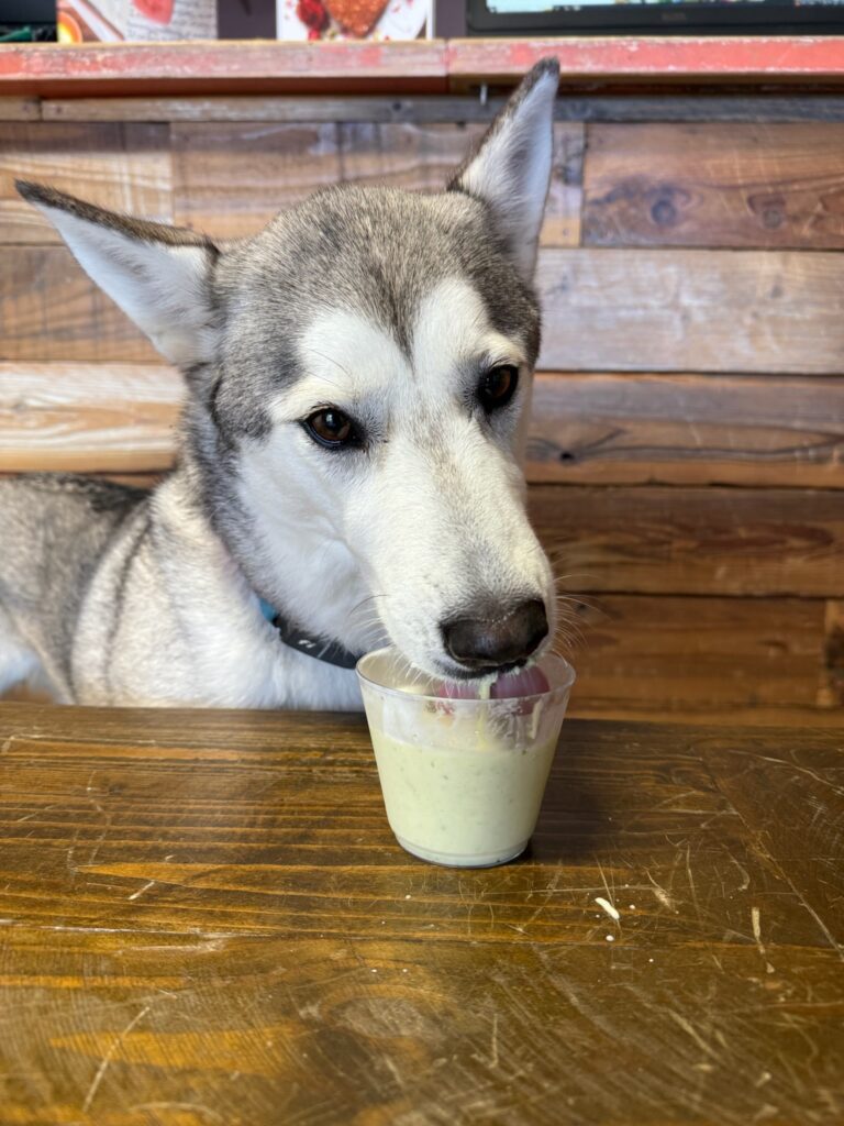 Rates & Services - Metro Dog