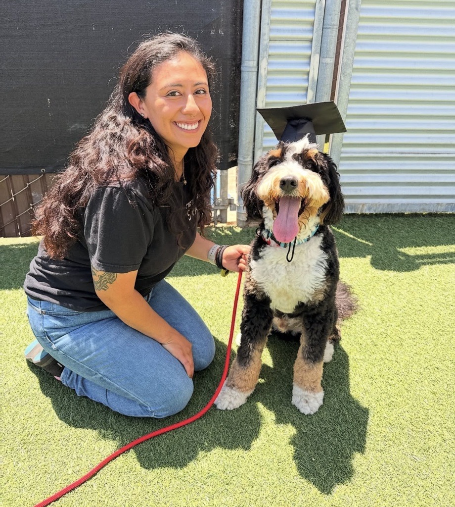 Rates & Services - Metro Dog