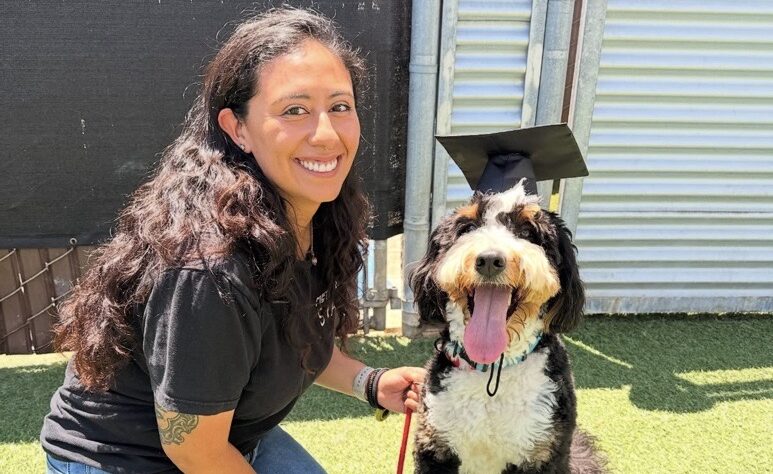 Dog Training in Richmond, CA - Metro Dog