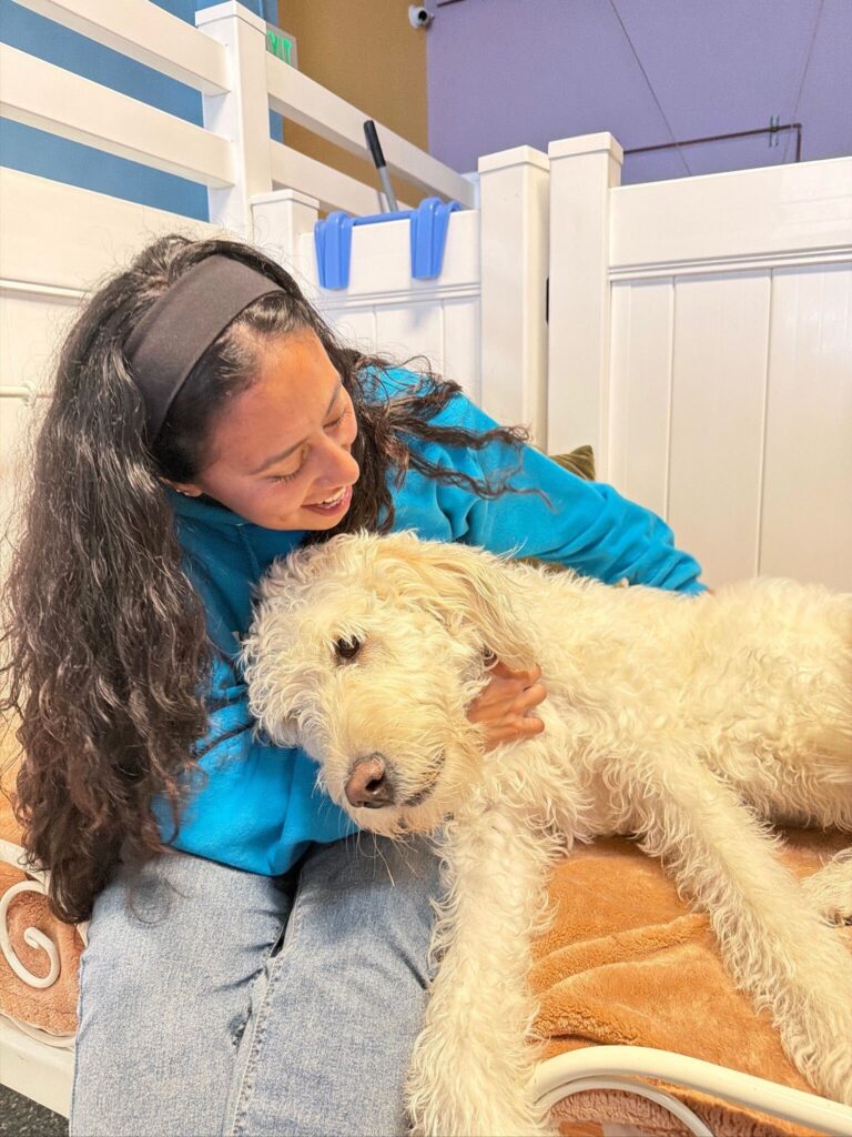 Boarding - Metro Dog