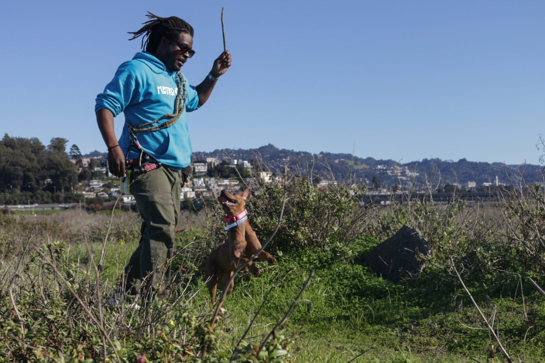 metro dog team member Keyon Gray getting ready to throw a stick to a dog